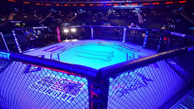 UFC